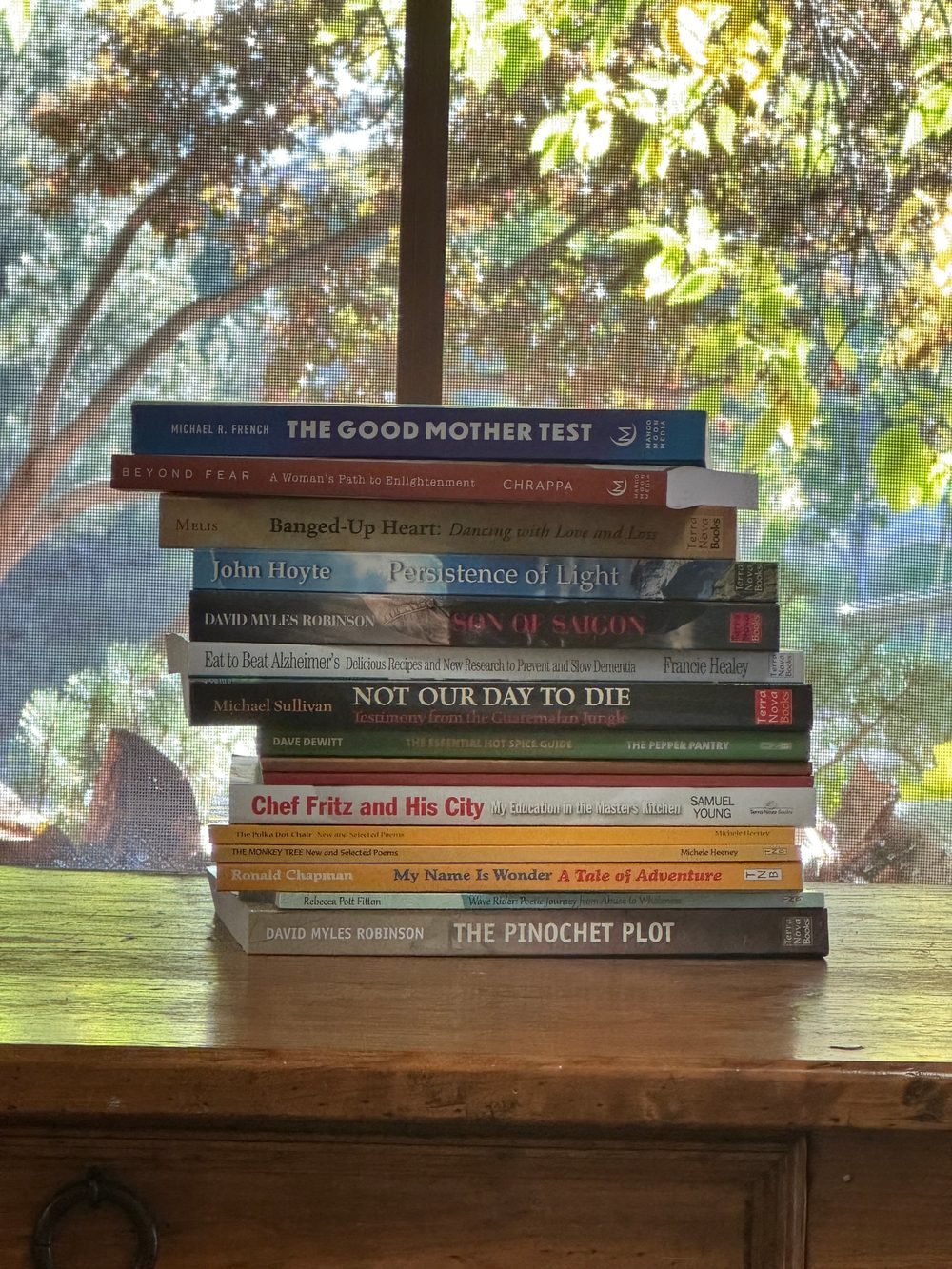 A stack of books published by Mango Moon Media in front of a sunlit window